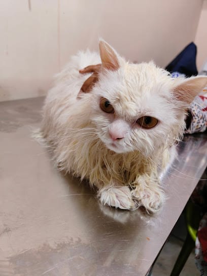 𝐀𝐌𝐑𝐈𝐓𝐀 𝐏𝐄𝐓 𝐂𝐋𝐈𝐍𝐈𝐂 & 𝐒𝐔𝐑𝐆𝐄𝐑𝐘 𝐂𝐄𝐍𝐓𝐄𝐑 business photograph