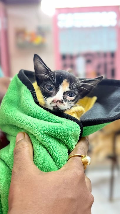 Pet Lovers Clinic business photograph