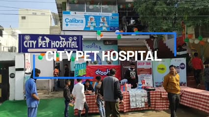 Supervet business photograph