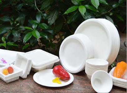 Ewalusion - Eco Friendly Food Packaging Company business photograph