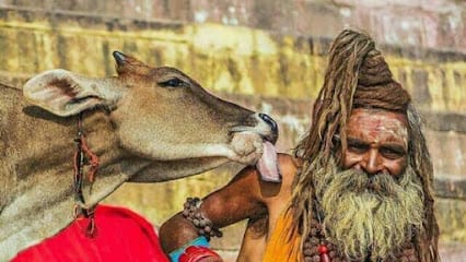 Sacred Varanasi Tour- Best Tour And Travel Company business photograph