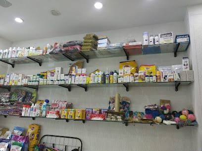 Petship dog and cat clinic business photograph