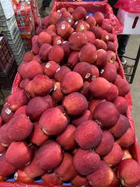 FRESH VISTA - Suppliers of Fresh Imported & Exotic Produce business photograph