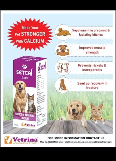 Hemant VetPet Pharma Medical and Distributors business photograph