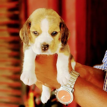 BOKARO PETS SHOP AND PETS HOSTEL business photograph