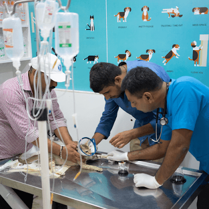 Pet Hospital, Aniheal clinical Centre business photograph