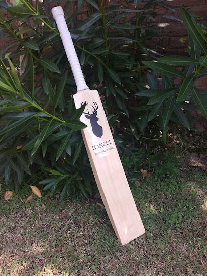 Kashmirica business photograph