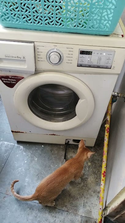 Shreeji Service Centre business photograph