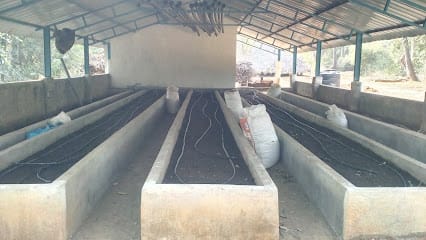 Vermicompost & Organic Products business photograph