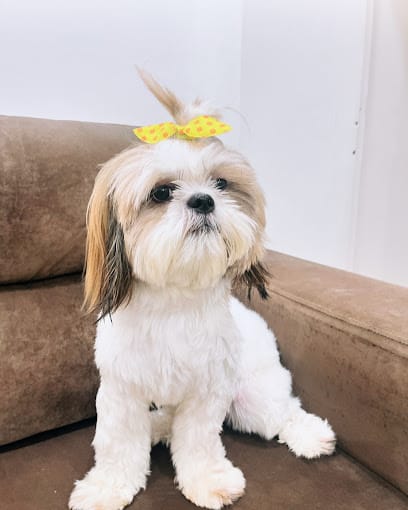 CD’s Pet Grooming Salon business photograph