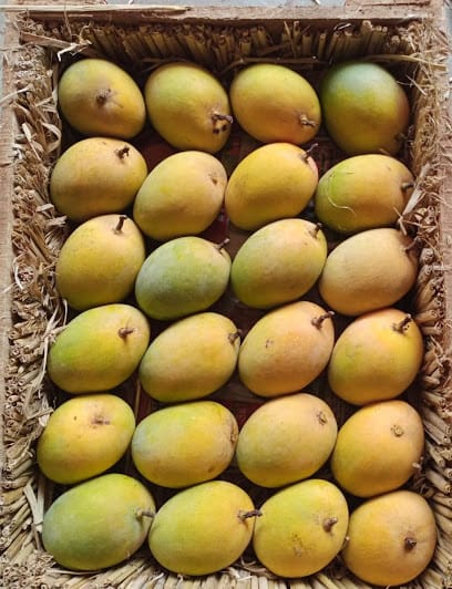 Ratnagiri Mango Mart business photograph