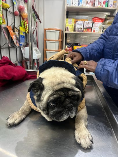 The Happy Healers Pet Clinic business photograph