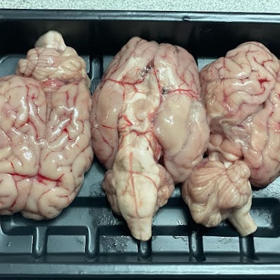 EzyMeat - Online Meat Delivery business photograph