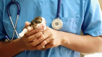 DR.VENKYS ANIMAL HOSPITAL business photograph