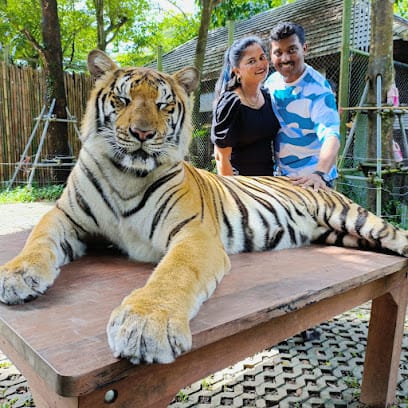 Bademiyan Tours & Travels Pvt Ltd business photograph