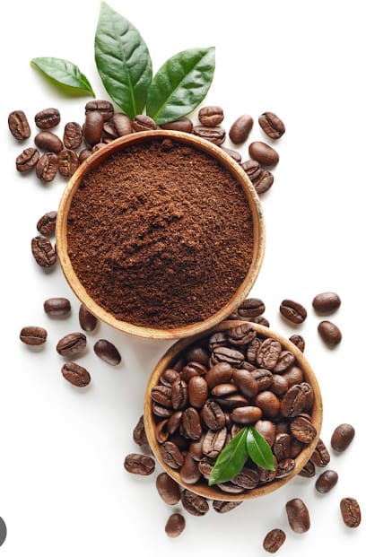 CHIKKAMAGALURU PLANTATION COFFEE business photograph