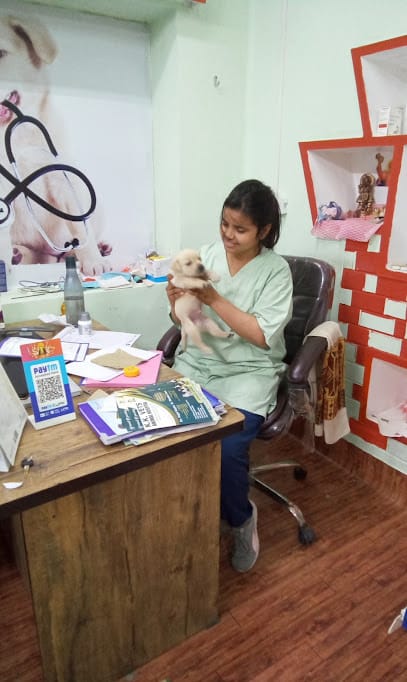 K. K. Vets animal clinic business photograph