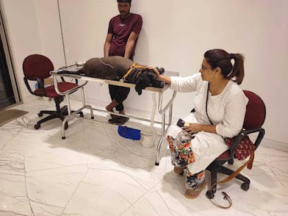 Asha Holistic Pet Care Clinic business photograph