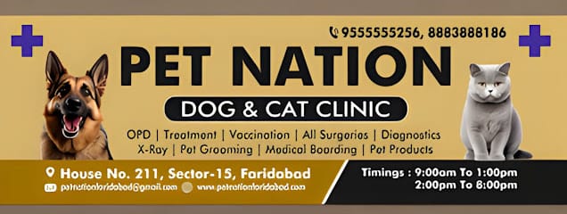 PET NATION - PET clinic fbd- Veterinary hospital/ dog & cat clinic faridabad business photograph