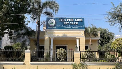 The Fur Life Pet Care business photograph