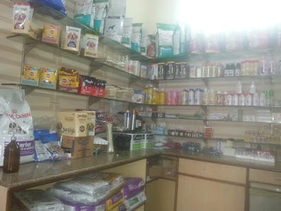 Dog Care Clinic business photograph