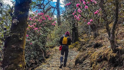Trek The Himalayas business photograph