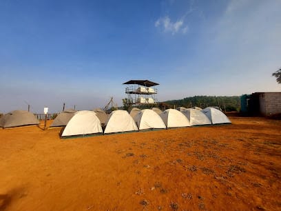 Famous Strawberry Farm business photograph
