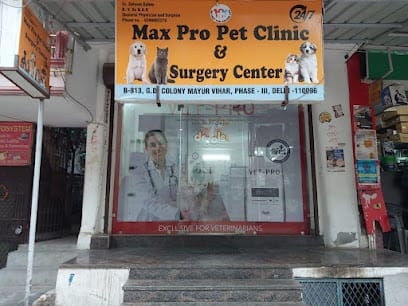 Max Pro Pet Clinic & Surgery Centre business photograph