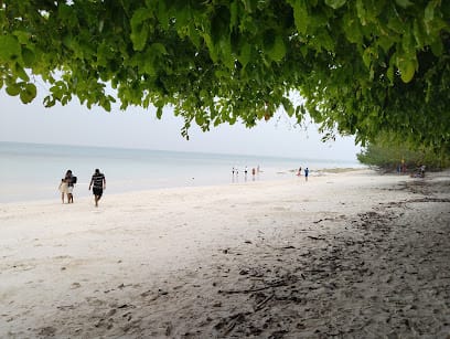 Andamandayz business photograph