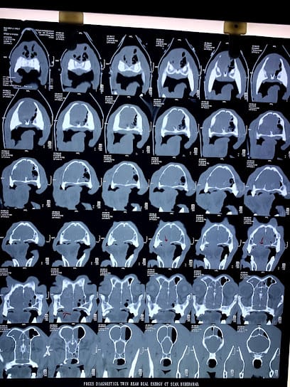 Mr.VET Animal Hospital, 24/7 Emergency -Gachibowli business photograph