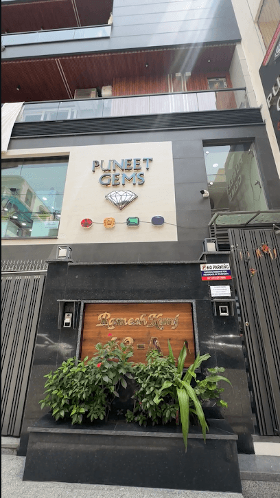 Puneet gems | Best Gemstone Shop In Delhi business photograph