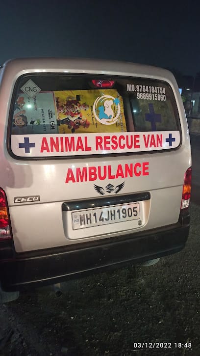 PET TAXI & INJURED ANIMAL AMBULANCE ( PRIVATE ) business photograph