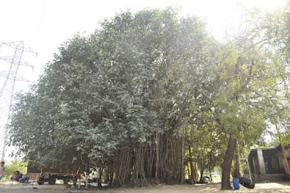 Dhanlaxmi Farm business photograph