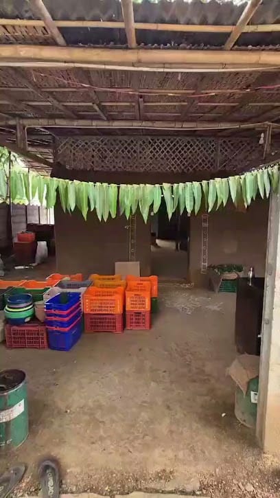 Sahaja Village Organic Store(The Mud House) business photograph