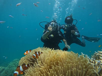 DIVE ADVENTURE CLUB business photograph