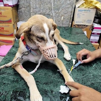 ASB Vet Medicare Pvt. Ltd (Ravi_pet_clinic) business photograph