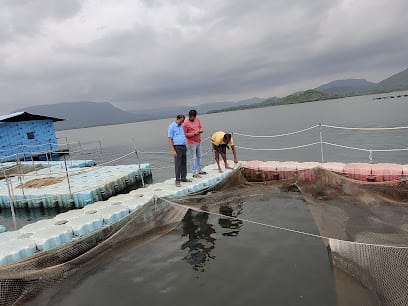TENSIFT FARMERS FERTILIZER PVT. LTD. business photograph