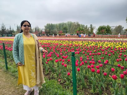 K7 Holidays & Travels Pvt. Ltd. business photograph