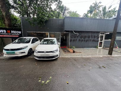 Dr Gopi’s CURAPETS business photograph