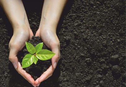 Green Promise Agro Products business photograph