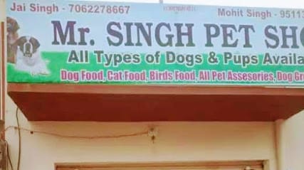 Mr. Singh business photograph