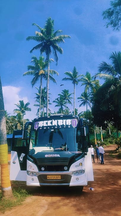 DREAM ISLAND BACKWATERS business photograph