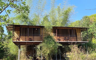 Deep Jungle Home business photograph