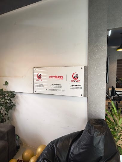 Level Up HR Solutions business photograph