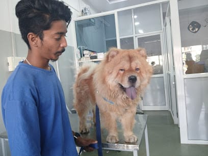 Petopia Animal Clinic (Dr. Neha Gupta)24/7 Services on appointment basis business photograph