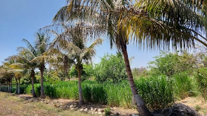 24k Jawalkar Farm business photograph