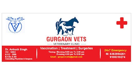 Gurgaon Vets ( HOME VISITING MOBILE VET SERVICE ) business photograph