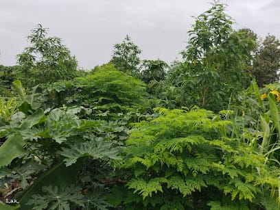 Samarpan spk farm business photograph