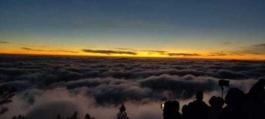 Munnar Expeditions business photograph