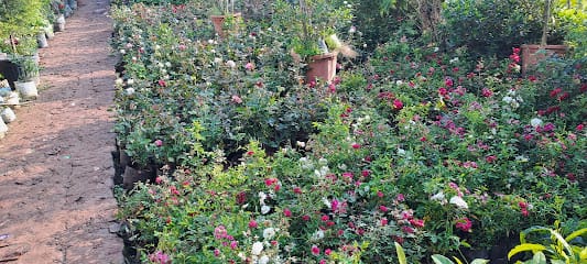 GREEN GOLD U.P. BIOTECH business photograph